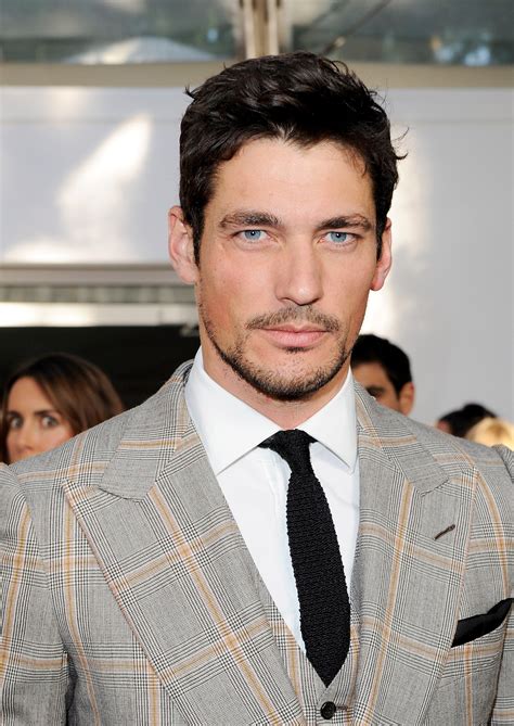 david gandy d&g